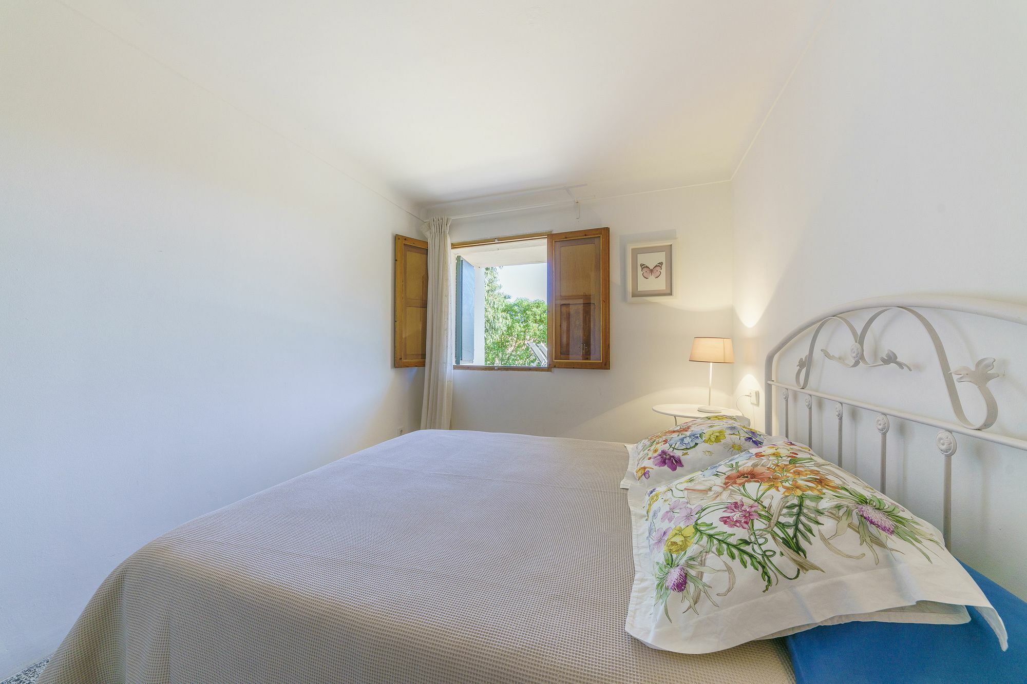 Villa Ficus ポルト・ダルクディア エクステリア 写真